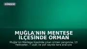 Muğla'nın Menteşe İlçesinde Orman Yangını: Geniş Çaplı Müdahale Başlatıldı