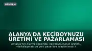 Alanya'da Keçiboynuzu Üretimi ve Pazarlaması Masaya Yatırıldı