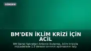 BM'den İklim Krizi İçin Acil Eylem Çağrısı: 1.5 Derece Sınırı Tehlikede