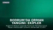 Bodrum'da Orman Yangını: Ekipler Havadan ve Karadan Müdahale Ediyor