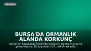 Bursa'da Ormanlık Alanda Korkunç Cinayet: 18 Yaşındaki Gökçe, Erkek Arkadaşı Tarafından Öldürüldü