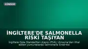 İngiltere'de Salmonella Riski Taşıyan Yumurtalar Toplatılıyor