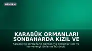 Karabük Ormanları Sonbaharda Kızıl ve Kahverengi Tonlarına Büründü