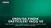 Ordu'da Fındık Üreticileri Yağış ve Düşük Fiyatlar Nedeniyle Zor Durumda