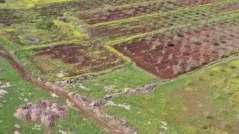 Japon ve Çinli Ekipler Taş Tepeler Projesi'nde Kazı Yapacak