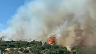Çanakkale'nin Ezine ilçesinde orman yangını: Müdahale sürüyor