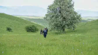 Muş'ta Kaybolan Çobanı Bulmak İçin Çalışmalar Devam Ediyor