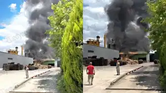 Sakarya'da Palet Fabrikasında Yangın: Hasar Meydana Geldi