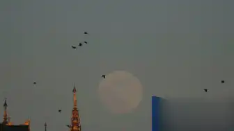 ABD Diplomatı Myanmar'da Ölü Bulundu, Polis Cinayet Şüphesiyle Araştırıyor