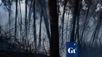 İspanya'da Orman Yangını: 12 Kişi Hayatını Kaybetti
