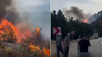 Isparta Eğirdir'de Orman Yangını: Alevler Ormanlık Alana Sıçradı