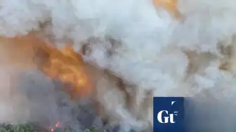 Paris Yakınlarındaki Fontainebleau Ormanı'nda Büyük Yangın: İtfaiye Uçakları Müdahale Ediyor