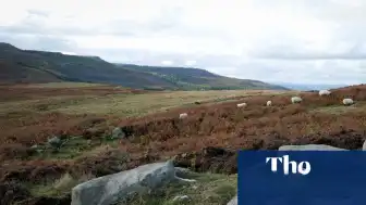 Northumberland'da Dev Bir Arazi Doğal Yaşam İçin Satın Alındı: 30 Milyon Sterlinlik Hedefe Ulaşıldı