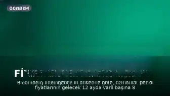 Uzmanlar Petrol Fiyatlarının Gelecek Yıl 100 Dolar Civarında Seyredeceğini Öngörüyor