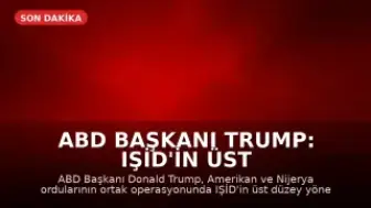 ABD Başkanı Trump: IŞİD'in üst düzey ismi Abu-Bilal al-Minuki Nijerya'da öldürüldü