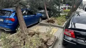 Ankara'da Fırtına: Ağaçlar Devrildi, Çatılar Uçtu