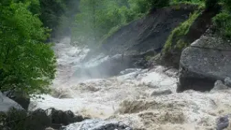 Artvin'de Şiddetli Sağanak: Dere Taştı, Yol Kapandı, Turistler Tahliye Edildi