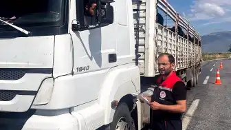 Aydın'da Kurbanlık Hayvan Nakilleri Denetlendi