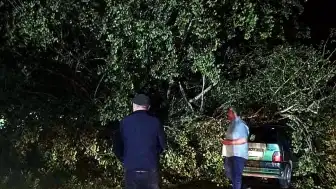 Bartın'da Şiddetli Fırtına: Ağaçlar Otomobillerin Üzerine Devrildi, Maddi Hasar Oluştu