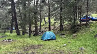 Bolu'da Ormana Yıldırım Düşmesiyle 3 Kişi Yaralandı