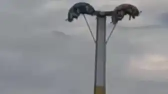 Buca Lunaparkta Bayramda Arızalar Vatandaşları Tehlikeye Attı