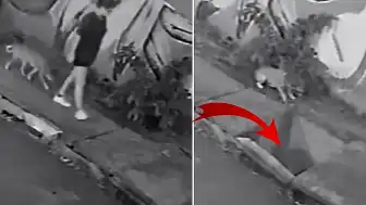 Cuiabá'da Yürüyen Genç Kadın, Kırılan Rögar Kapağıyla Kanalizasyona Düştü