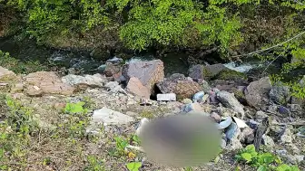 Düzce Yaylasında Dere Kenarında Bıçaklanmış Erkek Cesedi Bulundu