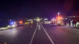 Elazığ'da Domuz Kazası: 5 Yaralı