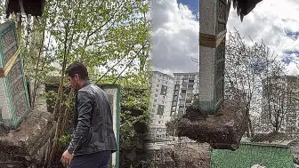 Erzurum'da 700 Yıllık Tarihi Mezarlıkta Usulsüz Kazı Yapıldığı İddiası Üzerine Soruşturma Başlatıldı