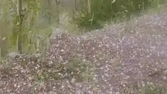 Erzurum'da Ceviz Büyüklüğünde Dolu Yağışı Tarım Alanlarına Zarar Verdi