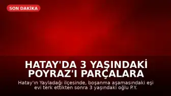 Hatay'da 3 Yaşındaki Poyraz'ı Parçalara Ayırdığı İddia Edilen Baba Tutuklandı