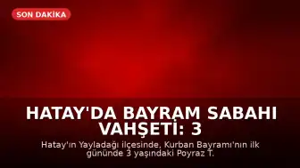 Hatay'da Bayram Sabahı Vahşeti: 3 Yaşındaki Çocuk Hayatını Kaybetti