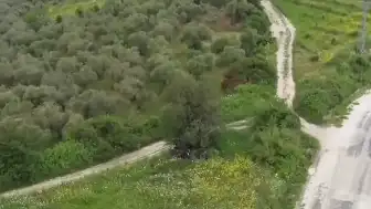 Hatay'da Düzensiz Göçmen Operasyonu: 42 Kişi Yakalandı