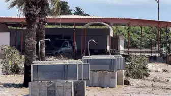 Hatay'ın Dörtyol İlçesinde Şiddetli Yağış Nedeniyle Araçlar Sular Altında Kaldı