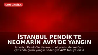 İstanbul Pendik'te Neomarin AVM'de Yangın Çıktı, Müşteriler Tahliye Edildi