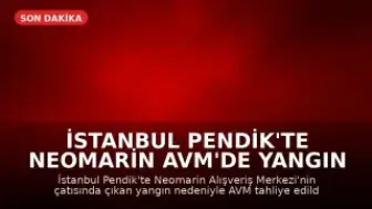 İstanbul Pendik'te Neomarin AVM'de Yangın Çıktı, Müşteriler Tahliye Edildi