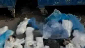 İzmir'de 33 Kedi Ölümüyle İlgili Veteriner Hekim Tutuklandı