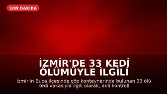 İzmir'de 33 Kedi Ölümüyle İlgili Veteriner Hekim Yeniden Gözaltına Alındı