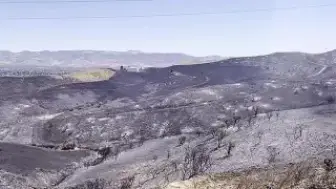 Kaliforniya'da Devam Eden Orman Yangınları Sonucu Tahliye Emirleri Çıktı