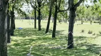 Küçükçekmece'de Polise Silahlı Saldırı Girişimi: Şüphelilerin Çantasından Kalaşnikof Tüfek Çıktı