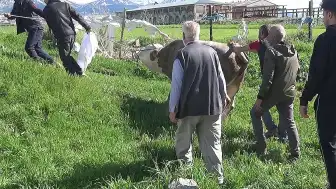 Kurban Kesimi Sırasında Kalp Krizi Geçiren Kişi Hayatını Kaybetti, Çok Sayıda Kişi Yaralandı