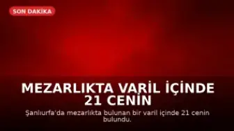 Mezarlıkta Varil İçinde 21 Cenin Bulundu