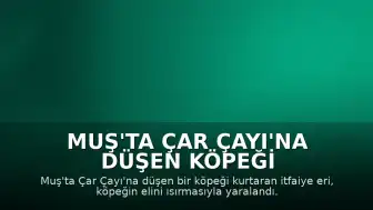 Muş'ta Çar Çayı'na Düşen Köpeği Kurtaran İtfaiye Erinin Elini Isırdı