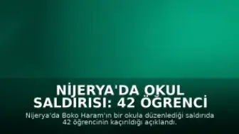 Nijerya'da Okul Saldırısı: 42 Öğrenci Kaçırıldı
