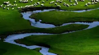 Ordu İdare Mahkemesi, Perşembe/Korgan Yaylaları Yakınındaki Altın Madeni Projesinin Yürütmesini Durdurdu