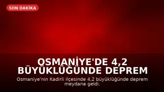 Osmaniye'de 4,2 büyüklüğünde deprem kaydedildi