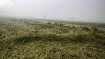 Osmaniye'de Sağanak Nedeniyle Evinde Mahsur Kalan Yaşlı Kadın Kurtarıldı