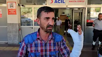 Şanlıurfa'da Kurban Kesimi Sırasında 232 Kişi Yaralandı