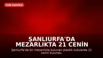Şanlıurfa'da Mezarlıkta 21 Cenin Bulundu