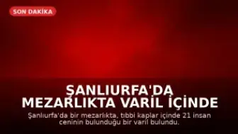 Şanlıurfa'da Mezarlıkta Varil İçinde 21 İnsan Cenini Bulundu